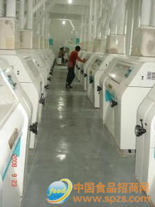 多種標(biāo)粉采購代理服務(wù)全解析