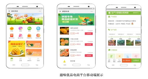 智慧農(nóng)業(yè)新篇章 1.28億元數(shù)字化服務(wù)，守護(hù)農(nóng)產(chǎn)品安全生命線(xiàn)