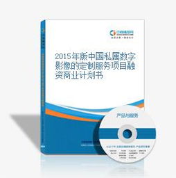 2015年中國私屬數字影像定制服務融資商業(yè)計劃書